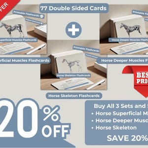 Flashcards complete anatomie van het paard - oppervlakkige spieren, diepere spieren en skelet - studiegids paarden - afdrukbare kaarten van 6 x 4