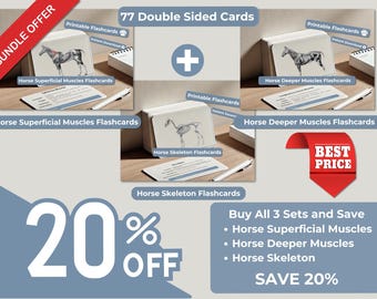 Schede didattiche complete di anatomia equina - Muscoli superficiali, muscoli profondi e scheletro - Guida allo studio del cavallo - Schede stampabili 6 x 4
