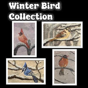 La collection d'oiseaux d'hiver