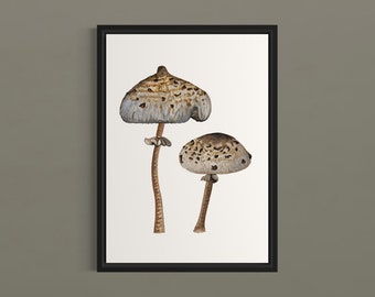 Mushroom Print | Botanical Wall Art | Mushroom Decor | Cottagecore Decor | Botanical Art Prints | Forest Wall Art