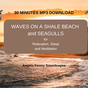 Waves on a Shale Beach and Seagulls. Thirty-Minutes MP3 Download.