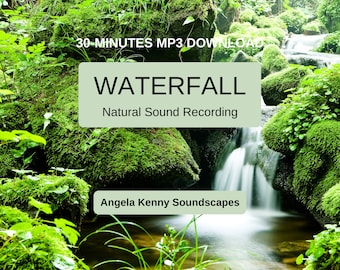 Nature Sounds Mp3 - Etsy UK