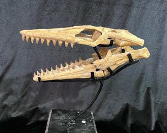 モササウルスの恐竜の頭蓋骨 モササウルスのレプリカ 恐竜の化石頭蓋骨
