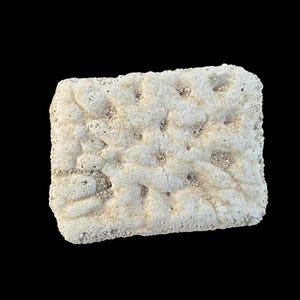 Könnte beinhalten: Ein rechteckiges, cremefarbenes Objekt mit strukturierter Oberfläche und kleinen, dunklen Punkten. Das Objekt hat ein poröses Aussehen und eine leicht unregelmäßige Form, was auf einen natürlichen oder handgefertigten Ursprung hindeutet. Der Hintergrund ist schwarz.