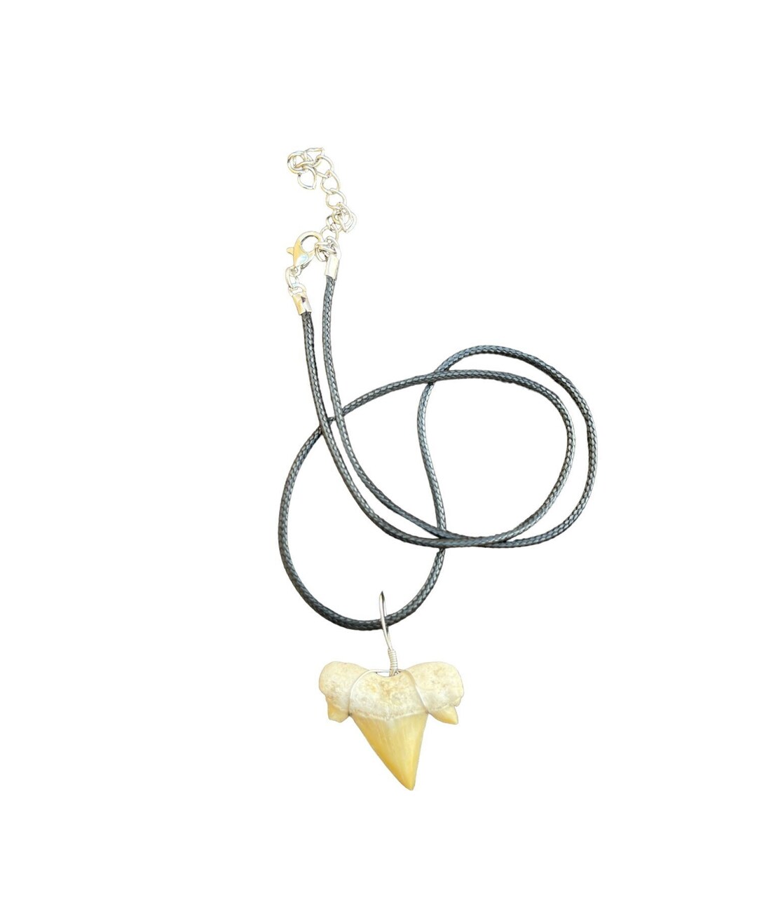 Perfect Fossil Necklace, Fossilized Shark Tooth Pendant on a Stylish