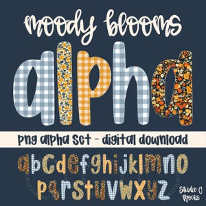 May include: A digital design featuring the word "alpha" in a playful font, with each letter showcasing a unique pattern. The letters are adorned with floral, gingham, and plaid designs. The image also includes a full alphabet set in a similar style.