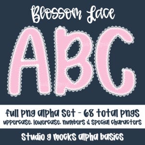 Alfabeto de encaje, alfabeto de encaje rosa, letras ABC de encaje de flores, juego básico de letras para profesores (25-2002)