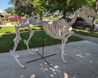 Life Size animal Horse Skeleton Construction kit , Cosplay templates, Halloween, animal skeleton, Paper Craft, Origami, DIY, PDF, Sculpture,