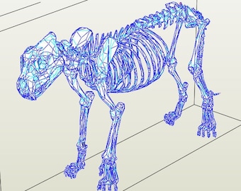 Könnte beinhalten: Blaues Drahtmodell eines Hundeskeletts. Das Modell ist 226,87 cm lang, 131,57 cm hoch und 54,92 cm breit. Das Skelett wird in einer Laufpose dargestellt und zeigt die Skelettstruktur eines Hundes.