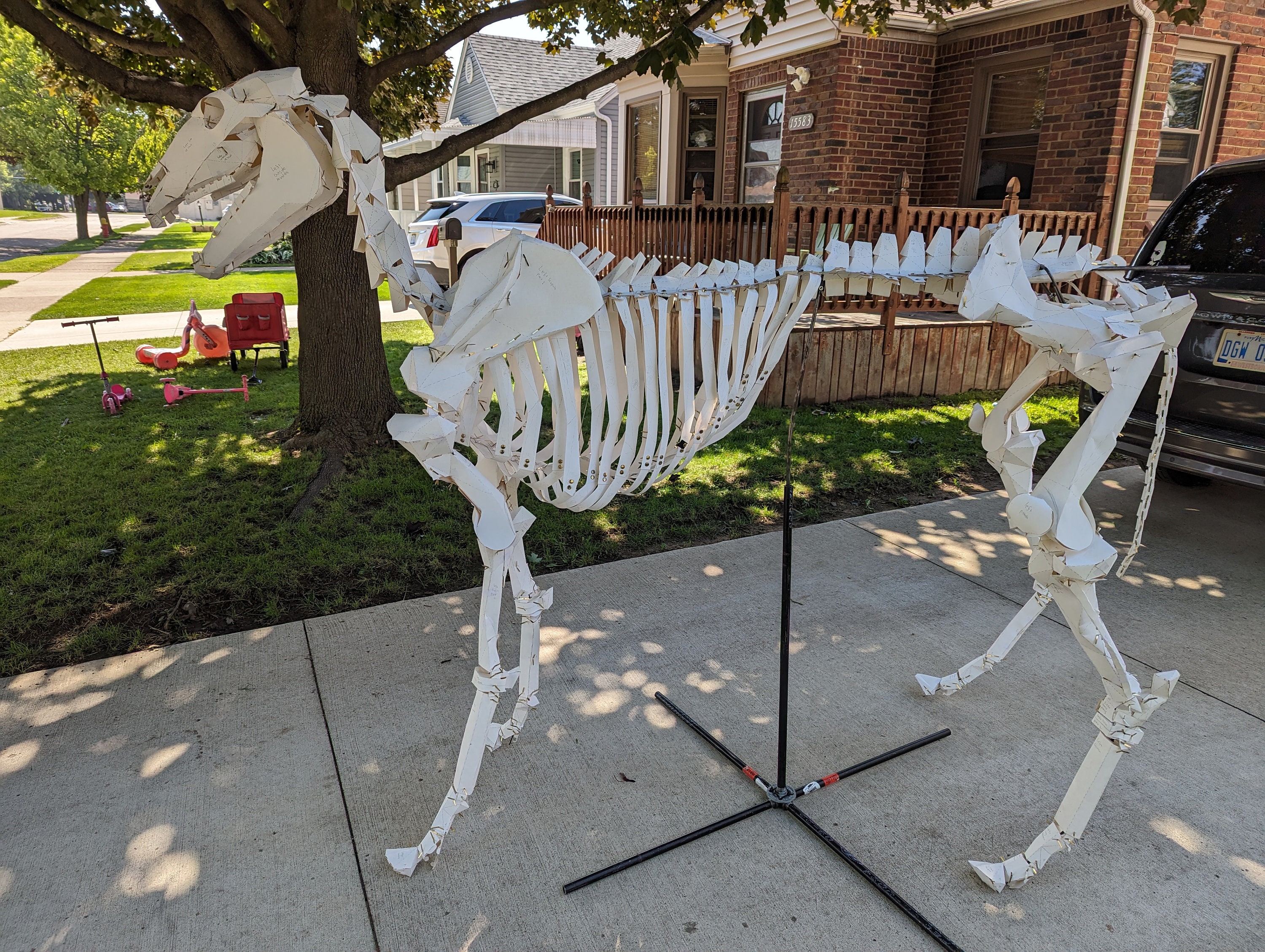 Life Size Animal Horse Skeleton Construction Kit Cosplay Etsy