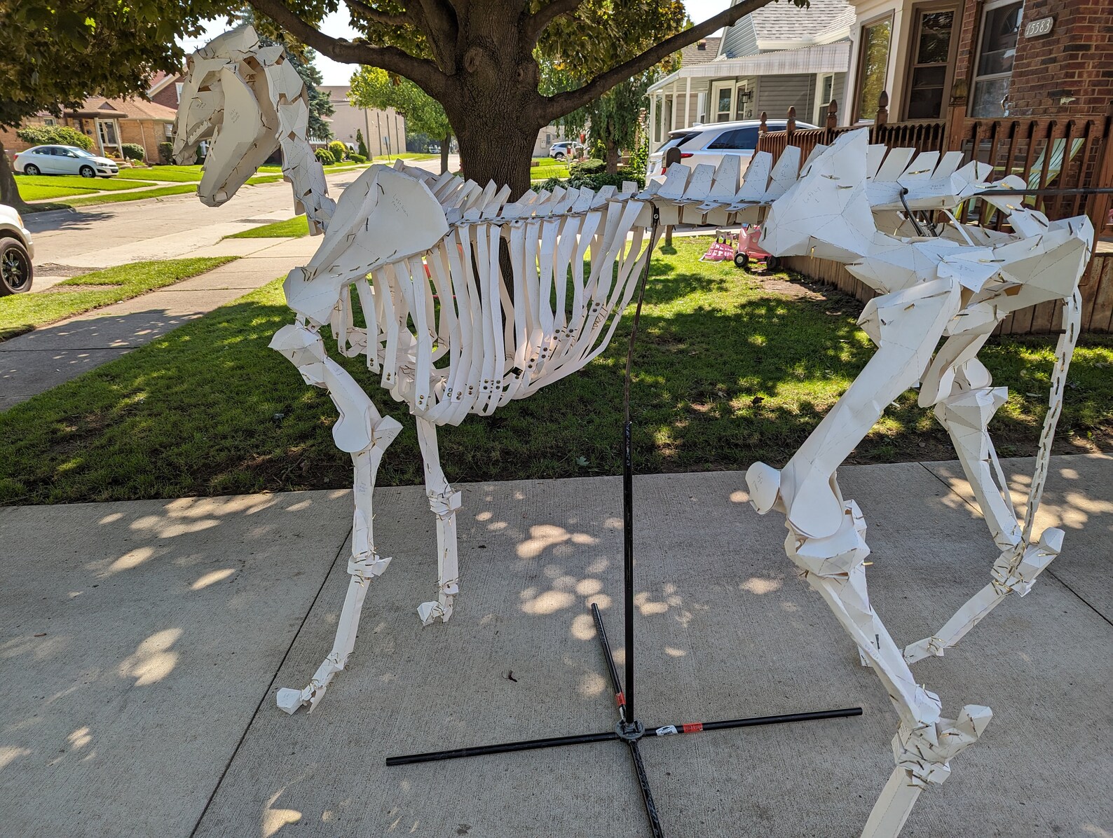 Life Size Animal Horse Skeleton Construction Kit , Cosplay Templates