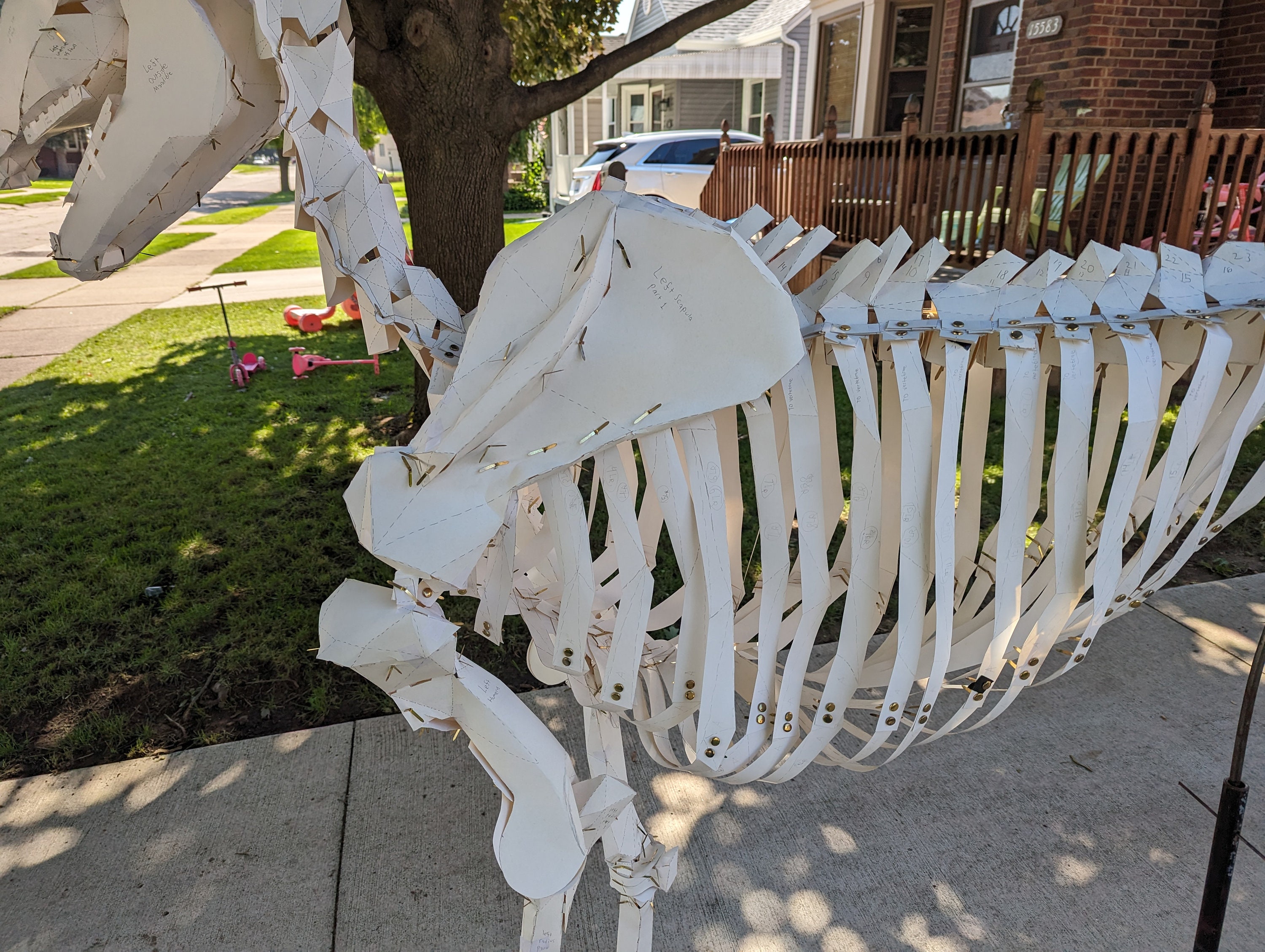 Life Size Animal Horse Skeleton Construction Kit , Cosplay Templates
