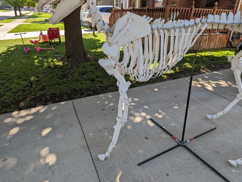 Life Size Animal Horse Skeleton Construction Kit , Cosplay Templates