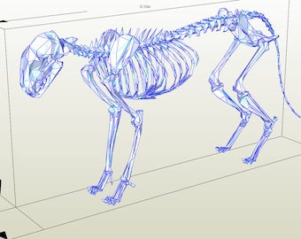 Könnte beinhalten: Ein 3D-Modell eines Katzenskeletts, gerendert in Blau und Weiß, mit einem Drahtgitter-Stil. Das Skelett ist in einer stehenden Position dargestellt, mit dem Kopf nach unten geneigt und dem Schwanz nach oben gekrümmt. Das Modell ist vor einem weißen Hintergrund platziert.