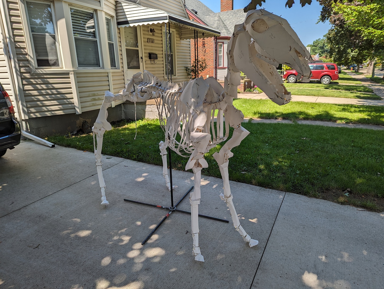 Life Size Animal Horse Skeleton Construction Kit , Cosplay Templates