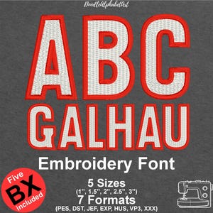 Galhau Satin Border Embroidery Font, 5 Sizes 7 Formats, 5 BX files, Machine Embroidery Design, Instant Download outlined Embrodered font