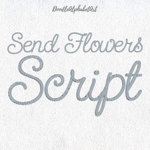 Send Flowers Embroidery Font, Classic Script BX, Handwritten Cursive ...