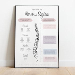 Impressions chiropratiques neutres | Poster sur le système nerveux pour les chiropraticiens | Affiche chiropratique
