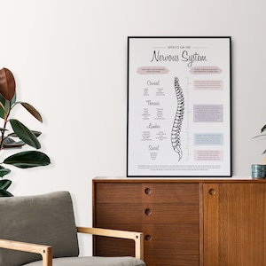 Pode incluir: Uma ilustra&ccedil;&atilde;o em preto e branco da coluna vertebral humana com texto que descreve os efeitos no sistema nervoso. A ilustra&ccedil;&atilde;o est&aacute; emoldurada e pendurada em uma parede branca acima de um arm&aacute;rio de madeira.