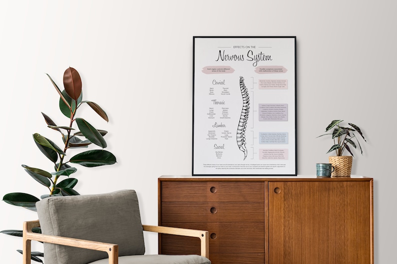 Pode incluir: Uma ilustra&ccedil;&atilde;o em preto e branco da coluna vertebral humana com texto que descreve os efeitos no sistema nervoso. A ilustra&ccedil;&atilde;o est&aacute; emoldurada e pendurada em uma parede branca acima de um arm&aacute;rio de madeira.