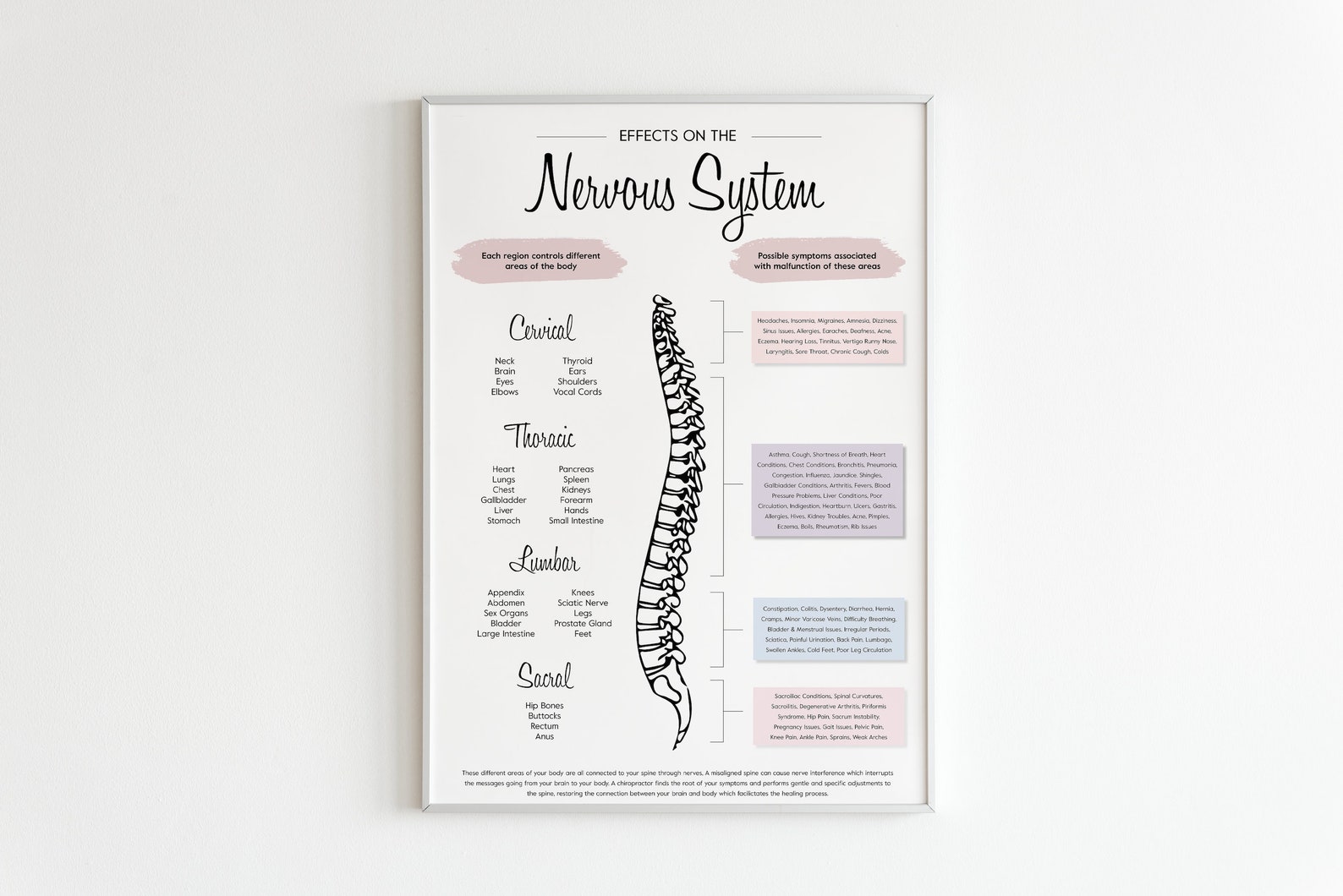 Chiropractic Nervous System Poster | Neutral Spine Art (digital ...