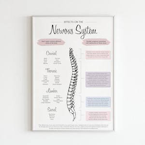 Pode incluir: Uma ilustra&ccedil;&atilde;o em preto e branco da coluna vertebral humana com r&oacute;tulos para cada se&ccedil;&atilde;o: Cervical, Tor&aacute;cica, Lombar, Sacral. Cada se&ccedil;&atilde;o est&aacute; associada a diferentes &aacute;reas do corpo e poss&iacute;veis sintomas associados ao mau funcionamento dessas &aacute;reas. O texto "Efeitos no sistema nervoso" est&aacute; no topo do p&ocirc;ster.