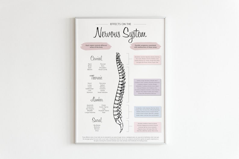 Pode incluir: Uma ilustra&ccedil;&atilde;o em preto e branco da coluna vertebral humana com r&oacute;tulos para cada se&ccedil;&atilde;o: Cervical, Tor&aacute;cica, Lombar, Sacral. Cada se&ccedil;&atilde;o est&aacute; associada a diferentes &aacute;reas do corpo e poss&iacute;veis sintomas associados ao mau funcionamento dessas &aacute;reas. O texto "Efeitos no sistema nervoso" est&aacute; no topo do p&ocirc;ster.