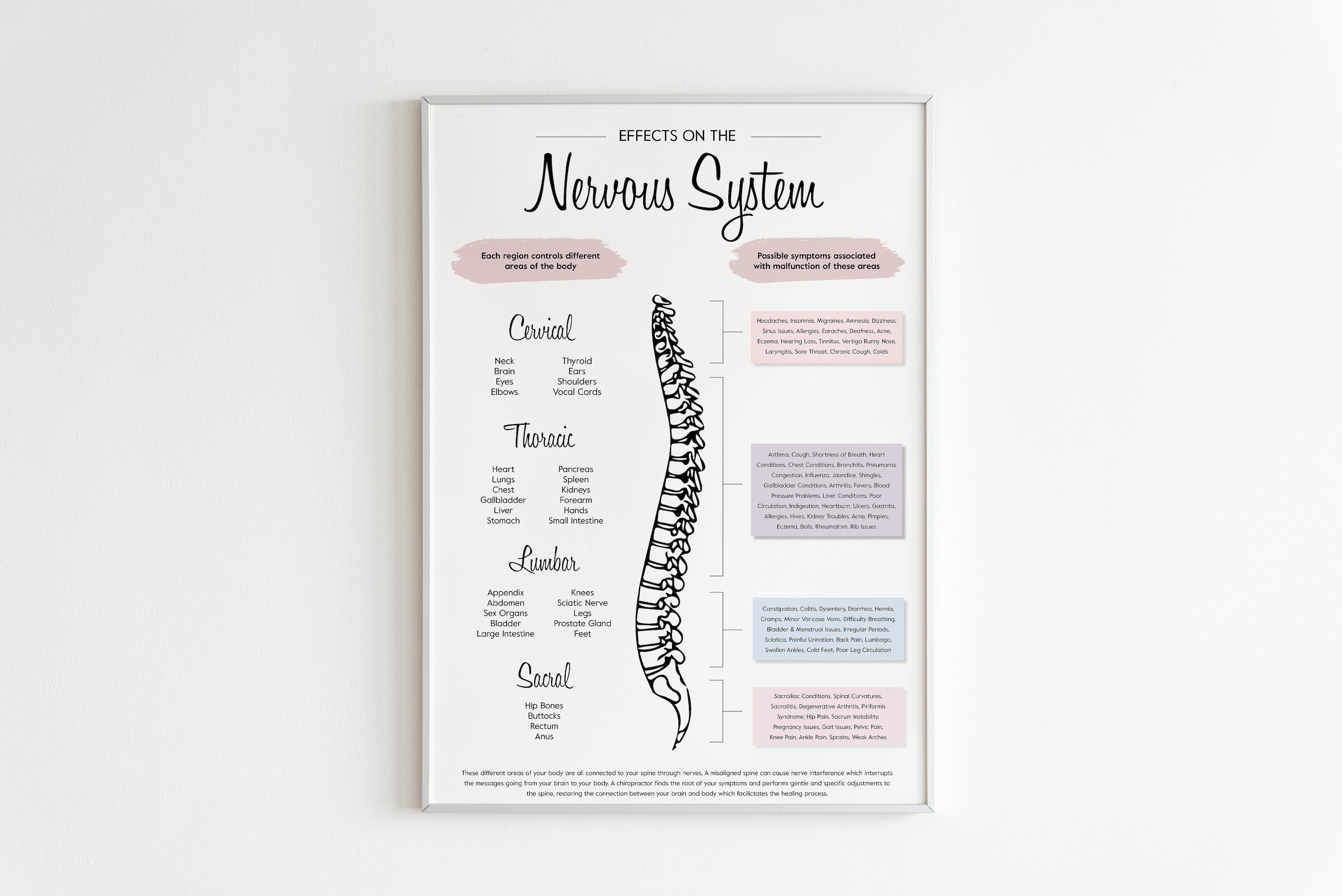 Chiropractic Nervous System Poster | Neutral Spine Art (digital ...