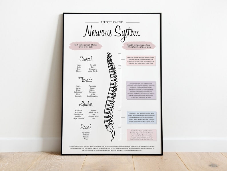 Pode incluir: Uma ilustra&ccedil;&atilde;o em preto e branco da coluna vertebral humana com r&oacute;tulos que mostram as diferentes regi&otilde;es da coluna vertebral e as &aacute;reas do corpo que controlam. O texto "Efeitos no sistema nervoso" est&aacute; no topo da imagem.