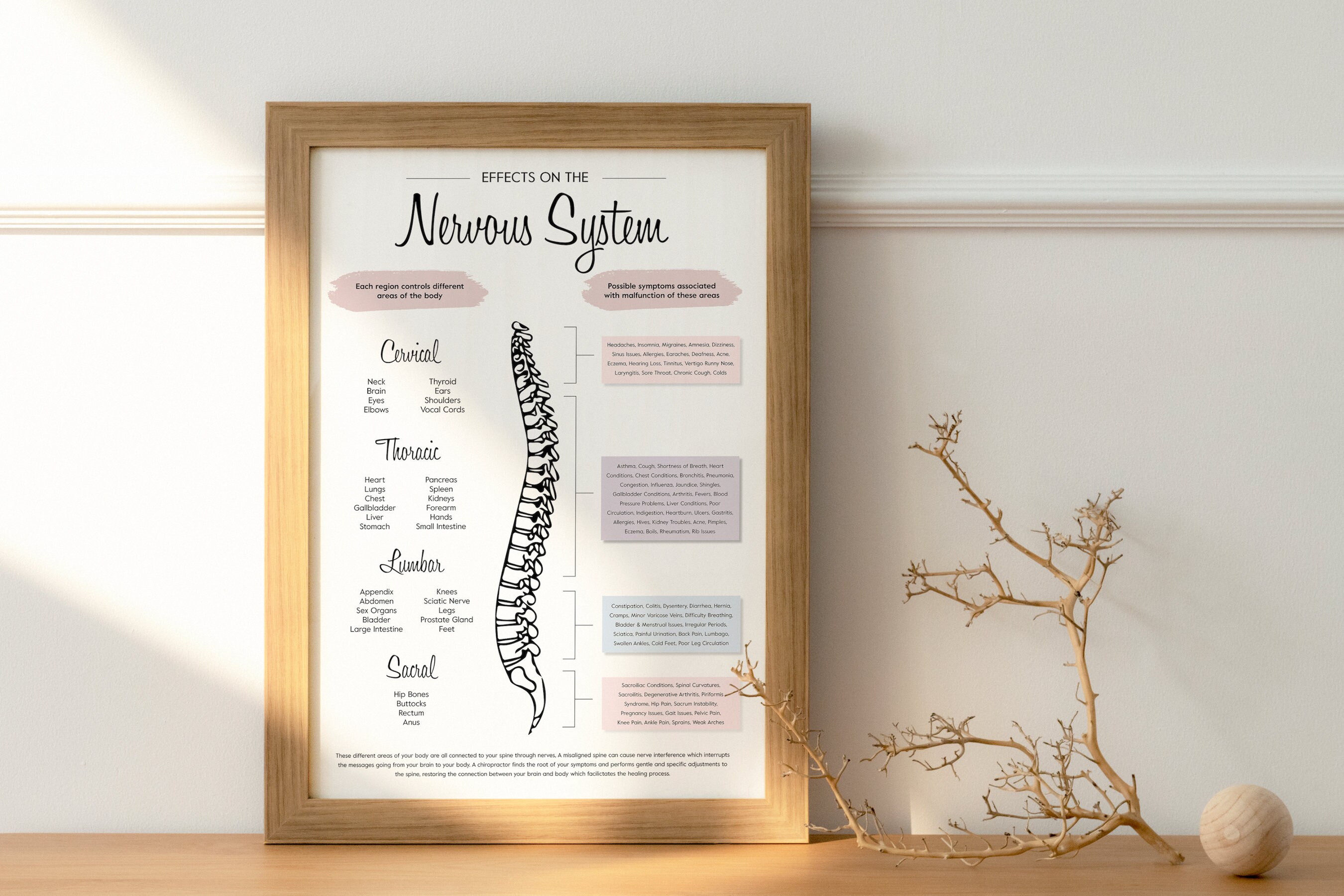 Chiropractic Nervous System Poster | Neutral Spine Art (digital ...