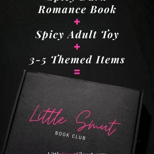 May include: A black rectangular box with the pink text Little Smut BOOK CLUB and the website LittleSmutCloset.com. Above the box, white text lists Spicy Dark Romance Book, Spicy Adult Toy, and 3-5 Themed Items with pink plus and equal signs.