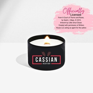 Licensed ACOTAR Book Candle | Sarah J. Maas Merch | Bookish Gift for Readers | Rhysand Inspired Scented Candle