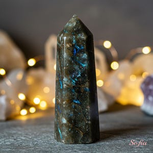 Natural Arfvedsonite Stone Tower - Black Single Point Crystal Tower Wand - Healing Crystal Chakra Obelisk Home Decoration Mineral Specimen