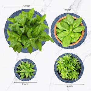 Peut inclure: Quatre pots de plantes en silicone bleu de différentes tailles et plantes. Les pots ont un diamètre de 15 cm, 20 cm, 25 cm et 30 cm.