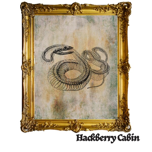 Gothic Snake Skeleton - Printable Wall Art for Haunting Victorian Decor