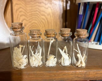 Bone Jars