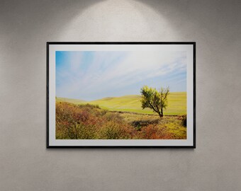 Autumn Golden Hills with a Lone Tree Photo Print Wall Decor