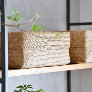 Op de afbeelding: Drie rechthoekige geweven opbergmanden met deksels, in verschillende tinten bruin en beige, worden tentoongesteld op een houten plank. De manden hebben een getextureerd, natuurlijk uiterlijk, wat suggereert dat ze gemaakt zijn van plantaardige vezels. De plank maakt deel uit van een zwart metalen rek.