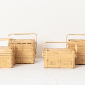Bamboo Bento Basket with Handle for Lunch Food Storage Handwoven Japan