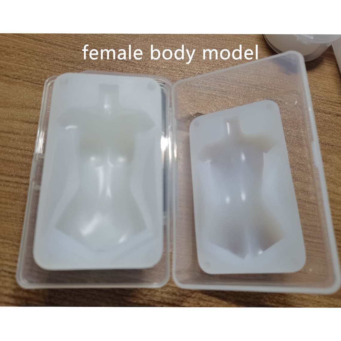 Universal Proportional Female Body Model for Beginners - Etsy