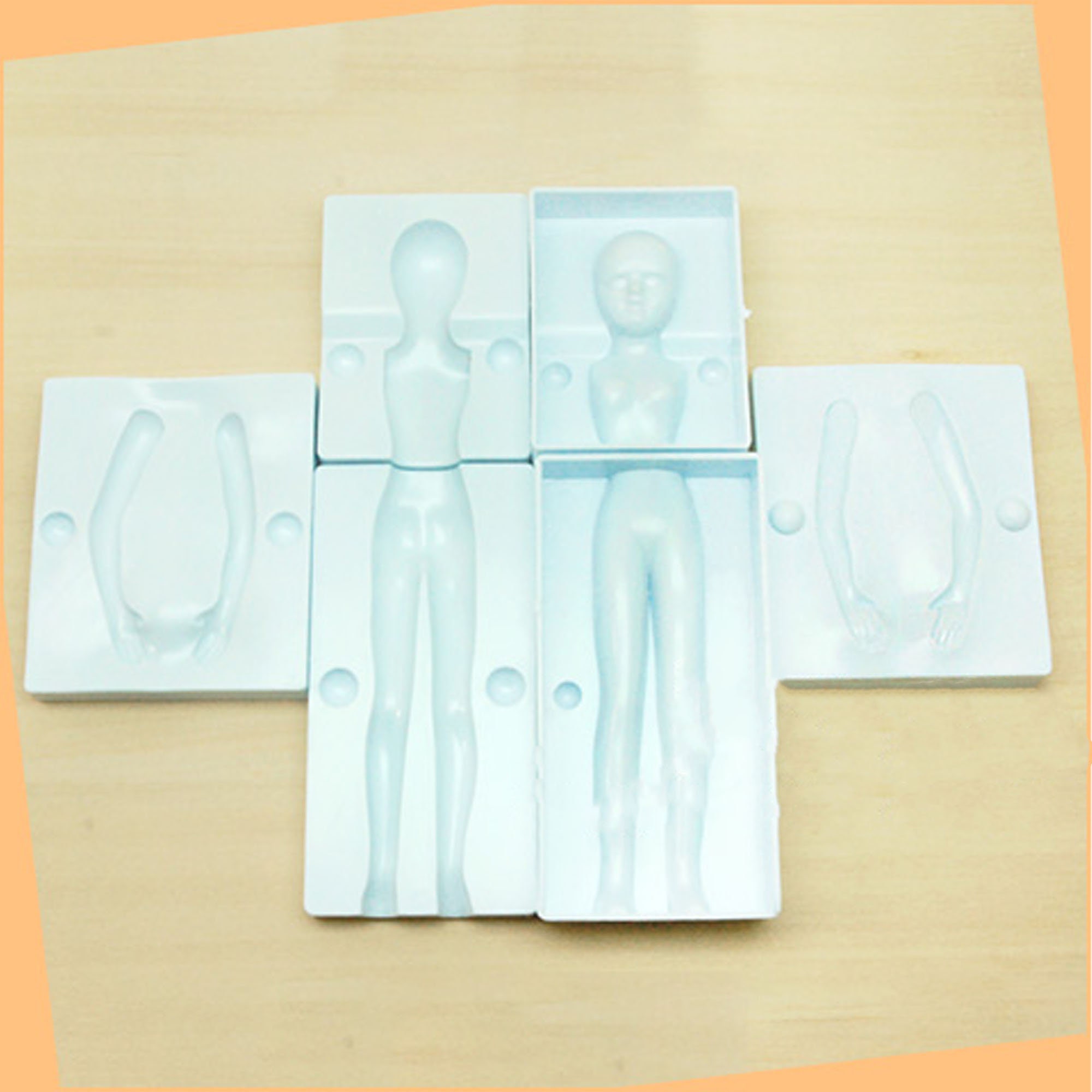 A Complete Set of Body Molds, Body Molds for Boys, Body Molds for Girls