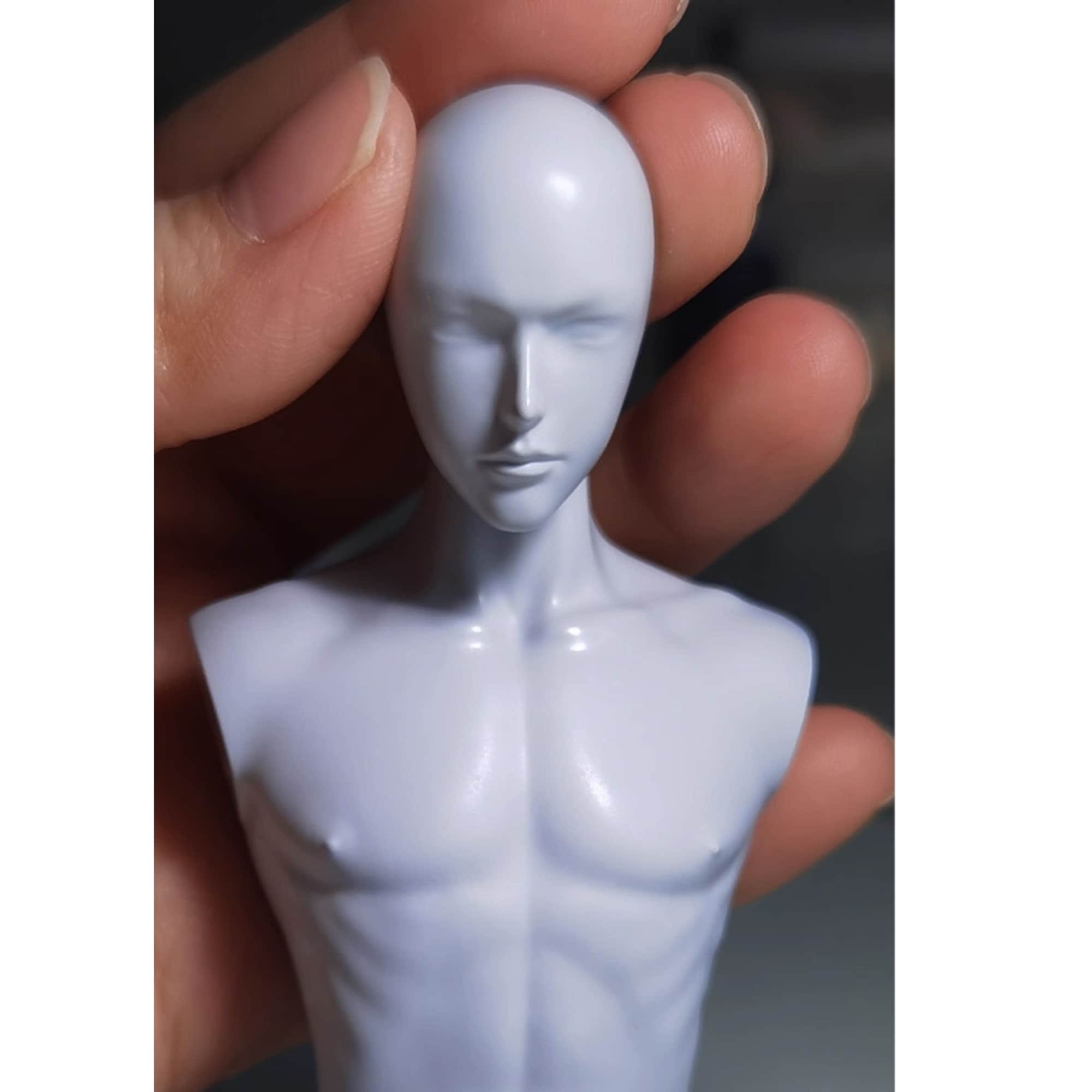 Complete Set of Female Body Molds, Ultra-light Clay Molds, Heroine Clay ...