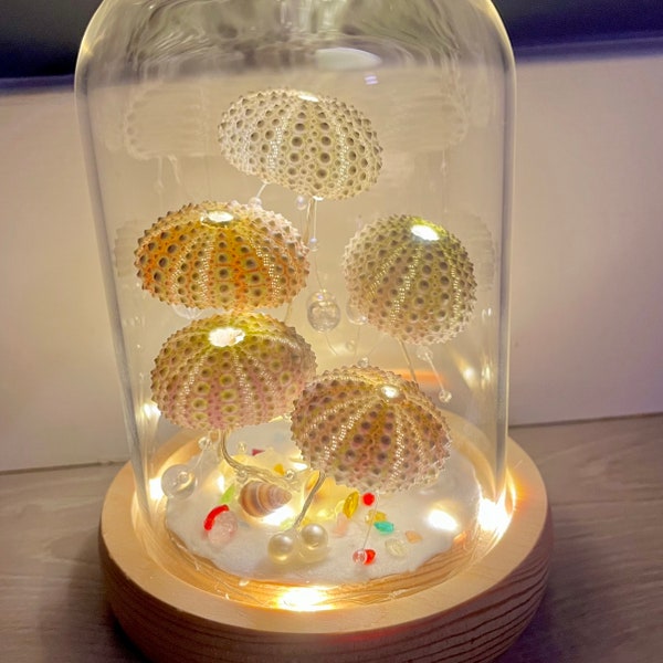 Handmade Sea Urchin shell lamp, Room decor