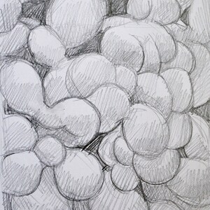 Form Study IV, 0riginal drawing on paper by Kathryn D&#39;Elia, 2018