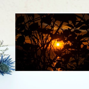 Leafy Sunset Digital Download