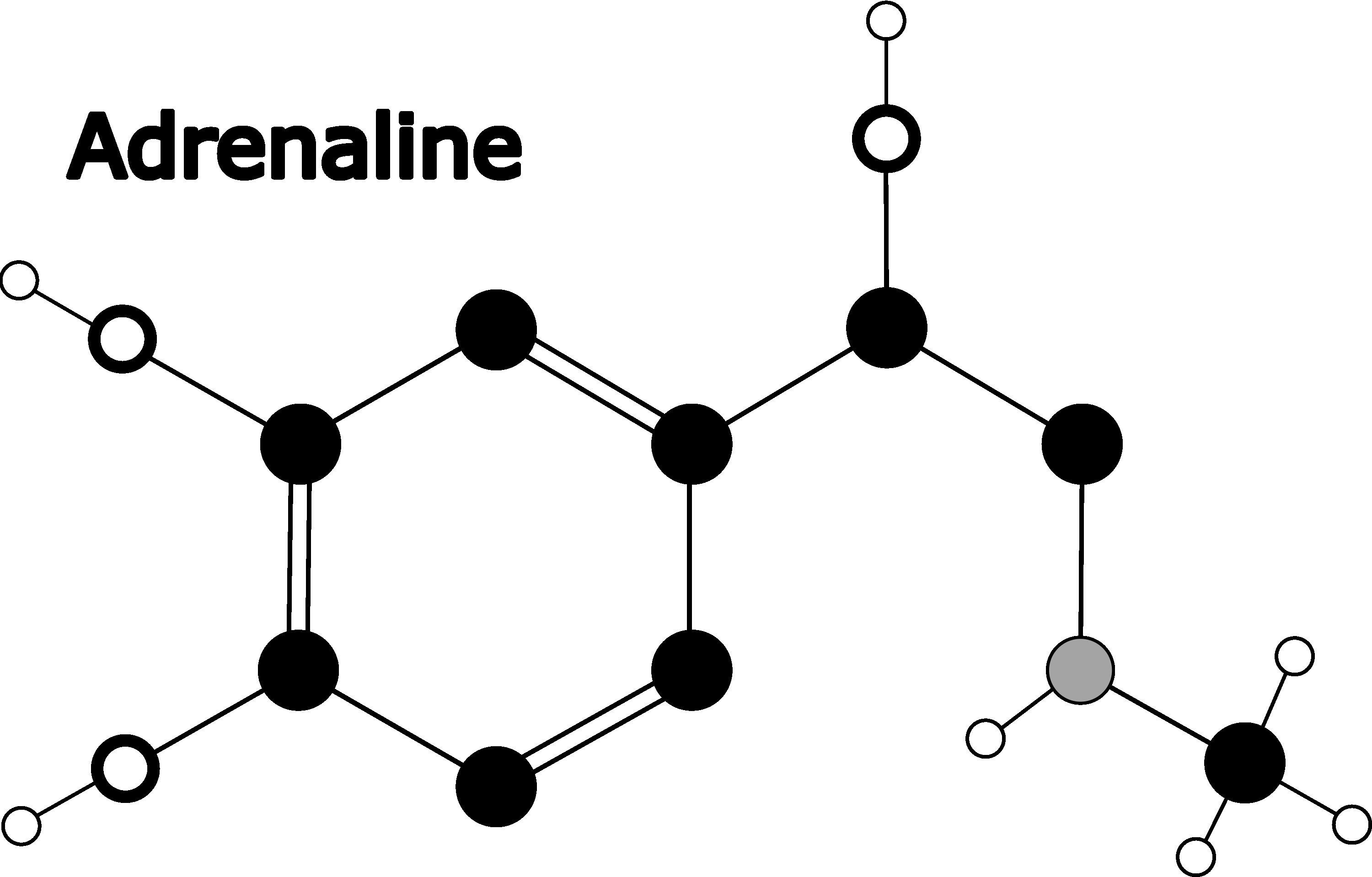 5 Biochemical Molecules Bundle. Vector Graphic Files for Cutouts ...