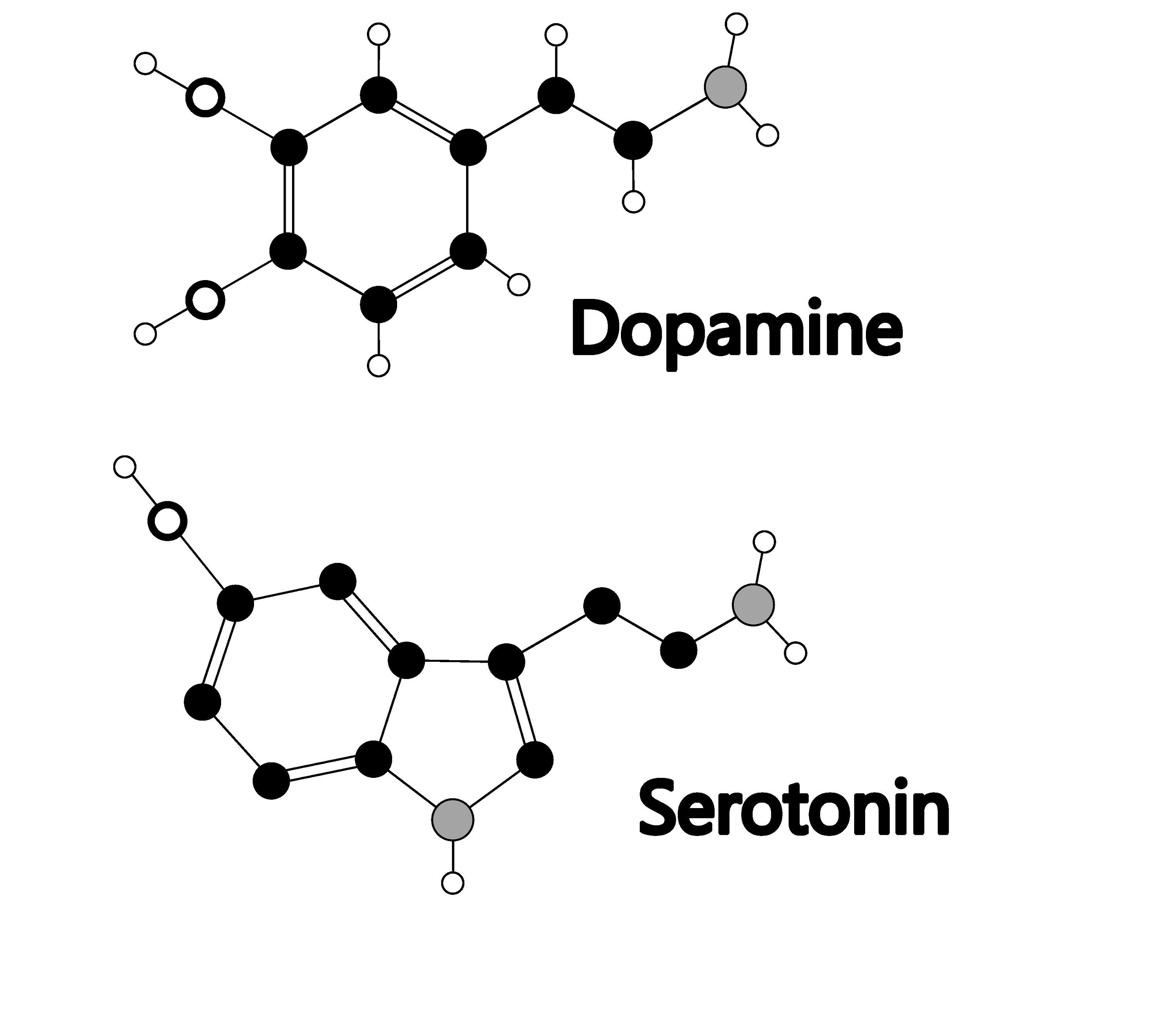 5 Biochemical Molecules Bundle. Vector Graphic Files for Cutouts ...