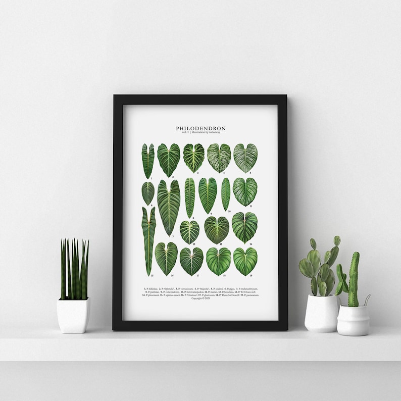 May include: A black framed print with a white background featuring a botanical illustration of 20 different Philodendron leaves. The leaves are arranged in rows and labeled with numbers. The title "Philodendron Vol. 1" is at the top of the print.