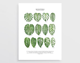 Monstera Print by Tobancay - Digital Download | Botanical art, interior design, plant wall art