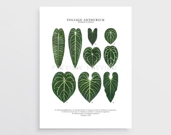 Foliage Anthurium Print by Tobancay - Digital Download | Botanical art, interior design, plant wall art